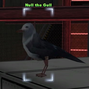 File:Null the Gull.jpg