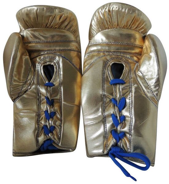 File:Boxing Gloves 1.jpg